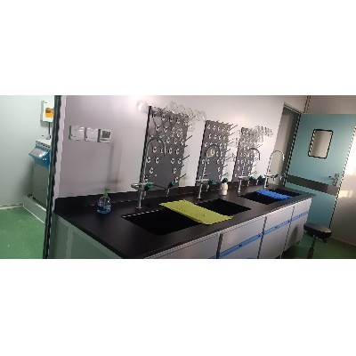 安徽東鵬實驗室新建項目(5)