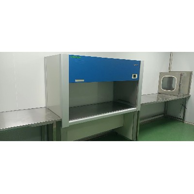 安徽東鵬實驗室新建項目(9)